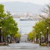 大沼・小沼をあとに、函館の夜景へ