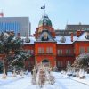 冬の北海道～パウダースノーと極寒の中での景観
