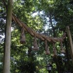 大和三山を眺め、横大路をゆく旅人の気持ちになる