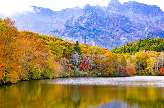 湖や池のたのしみ